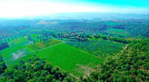 Agroturismo Agriturismo Miscianello