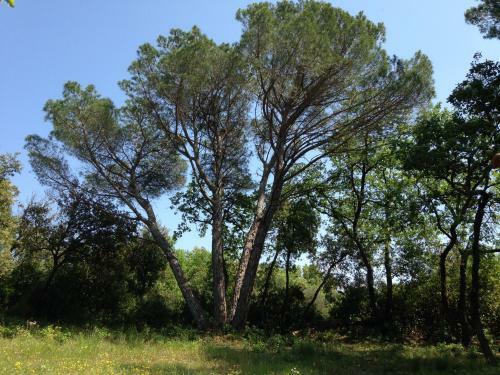 Bed & Breakfast Les Marguerites