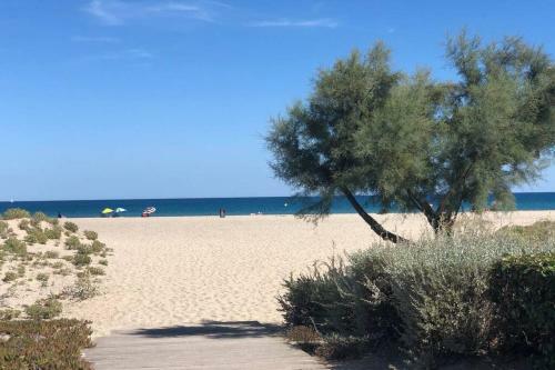 La Perle Vue Mer Pieds Dans L'eau Clim Wifi