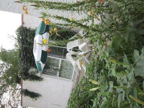 Hostal Pensiunea Ruxandra