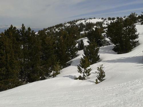 Apartment Face Aux Pistes