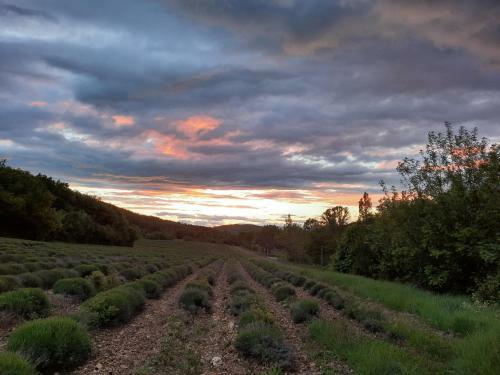 Les Th�olats
