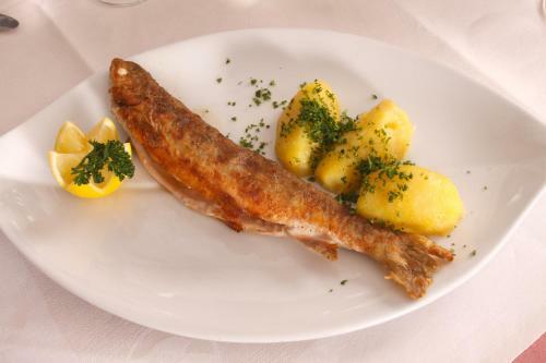 Hotel Gasthof Zum Hirschen