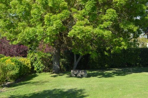 Bed & Breakfast Logis De Chenac