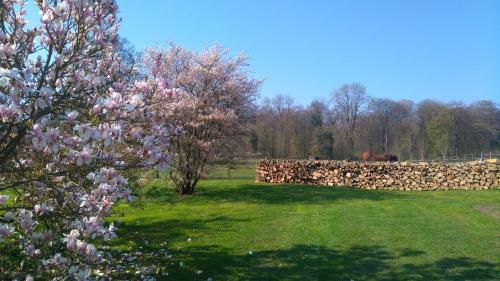 Bed & Breakfast Ferme De La Haye