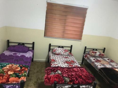 Apartamento Family House In Petra 2