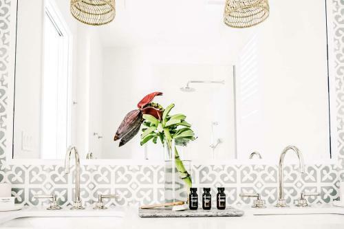 Apartamento Botanica