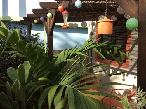 Apartamento 13 Pers - 4 Meubl�s En Bord De Mer