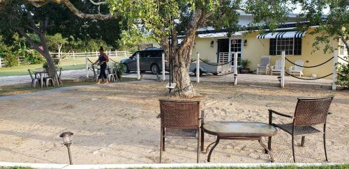 Bed & Breakfast Treasure Beach Inn And Bar