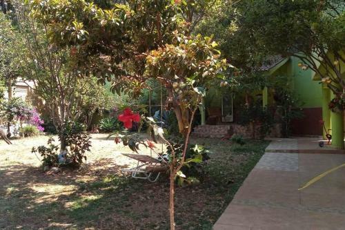 Apartamento Departamento Del Bosque Planta Alta