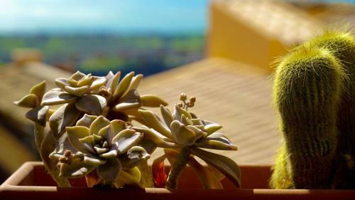 Bed & Breakfast Le Vie Di Girgenti