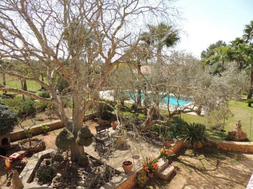 Encantadora Villa Para 9 Plus 3 Personas En Algaida