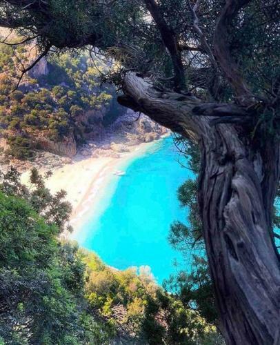 Nuovissima Casa Con Giardino Vicina Al Mare