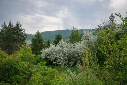 B�b�natv�lgyi Apartman Esztergom