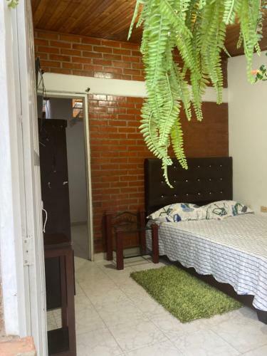 Apartamento Hostal Anabero
