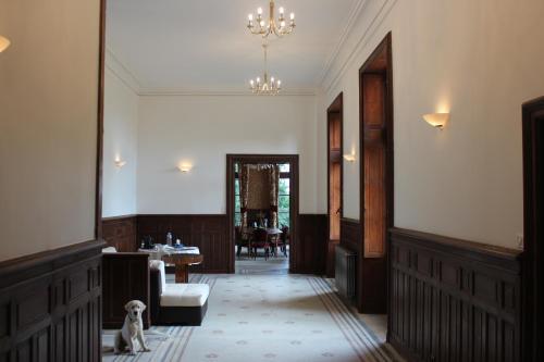Hostal Ch�teau De La Plaudi�re