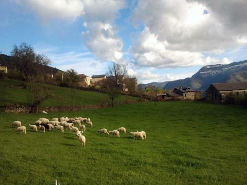 Apartamentos Ordesa Natura