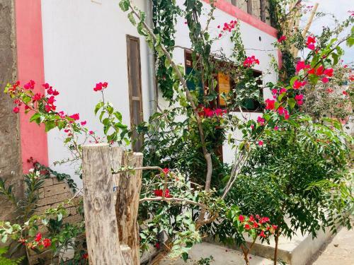 Hostal Pedra De Rala