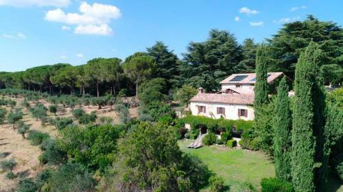 Agroturismo Della Genga B&B La Pieve Suite