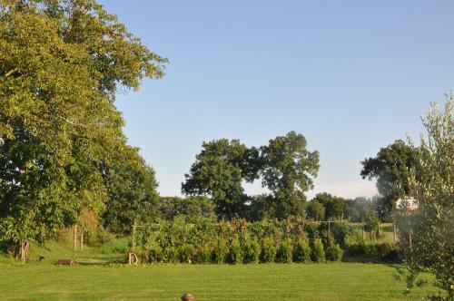 Agroturismo Ca' Matra