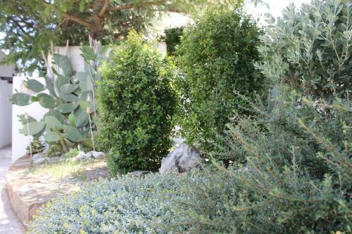 Albachiara Bed & Breakfast