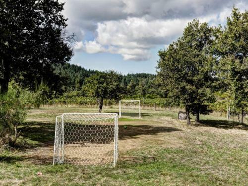 Apartment Pulcino Gaiole In Chianti