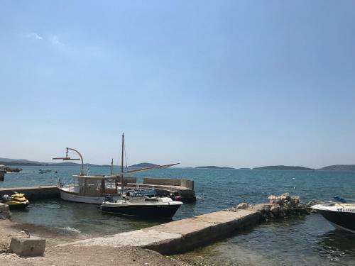 Apartman 5m