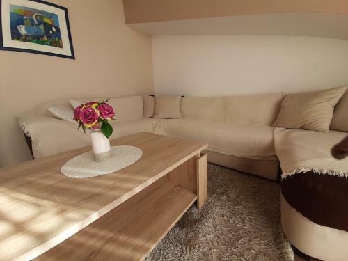 Apartment Franka
