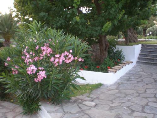 Hotel Porto Matina