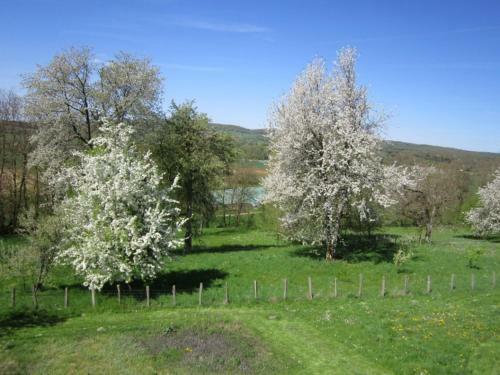 Hostal G�te Les Cossas