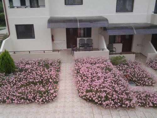 Aparthotel Amari Hotel