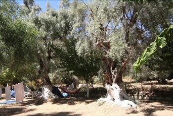Apartamento Poros Beach