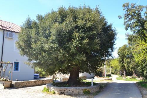 Agroturismo Country House Vrsani