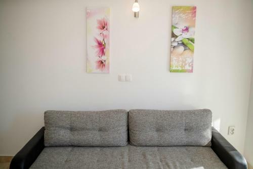 Apartamentos Lili Rab