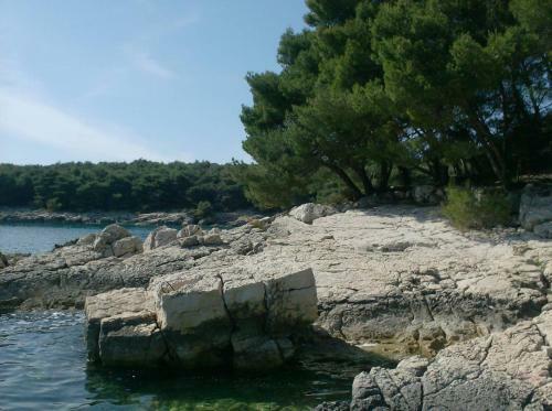 Apartments Suha Punta - Crnic
