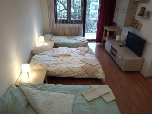 Apartamentul Brandusa