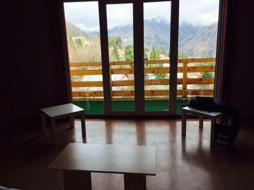 Villa Vila Sinaia Private
