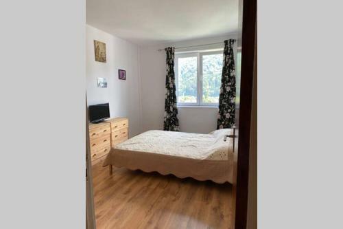 Extremely Quiet And Relaxing Apartment
