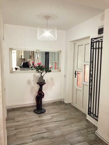 Veraci Apartments