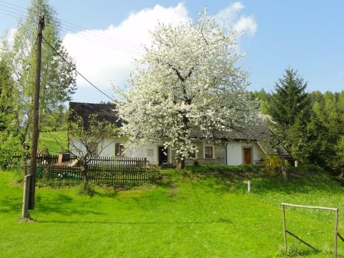 Apartamentos Ubytov�n� Na Vejminku