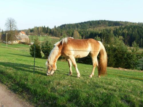 Apartamentos Ubytov�n� Na Vejminku