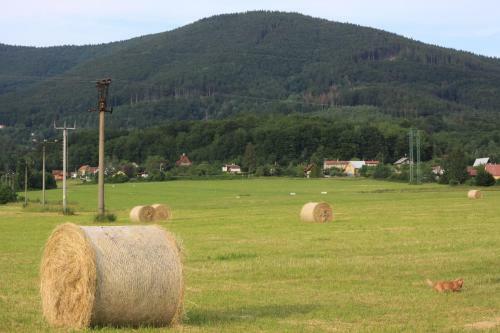 Apartm�n Pod ?ernou Horou