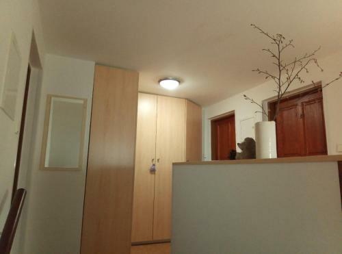Apartm�ny Hlad�kova V�?ina Krkono?e