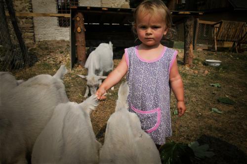 Agroturismo Penzion Pi?likdum