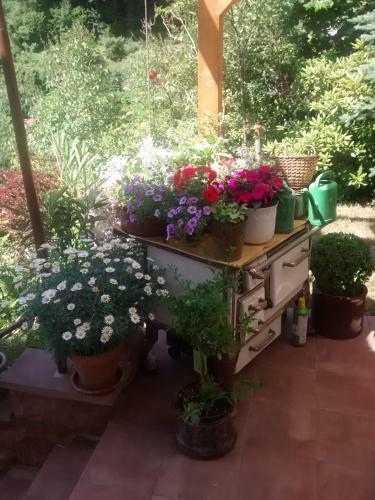 Apartamento Casa La Collina Delle Ginestre