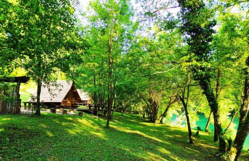 Kolibe - Robinson Camp Kupa