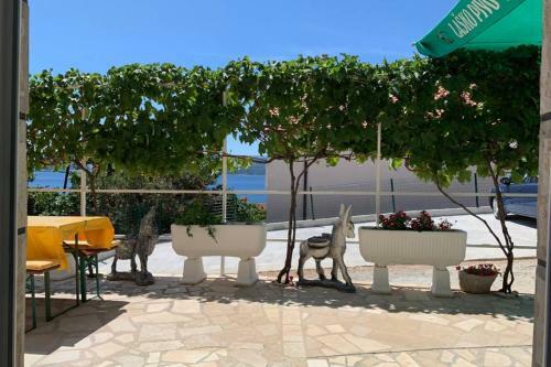Apartment 5 With Pool And Amazing Sea View