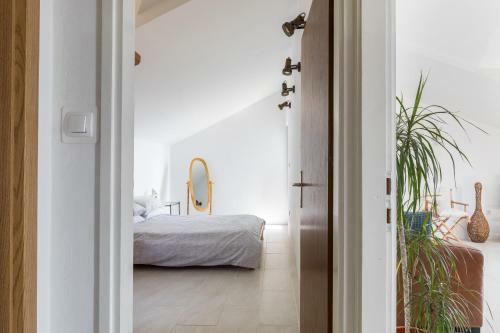 Apartamentos Palfeys