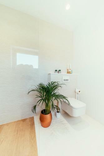 Unique Luxury Designers Apartment Right Next To The Beach
