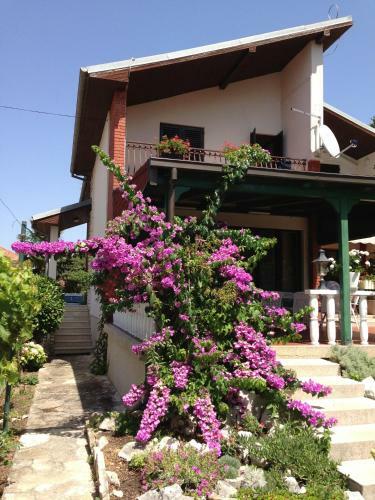 Bed & Breakfast Villa Lukas